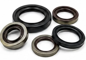 Oil Seals